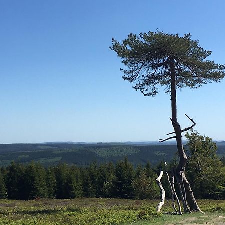 Berg- Und Seeblick Winterberg Eksteriør bilde