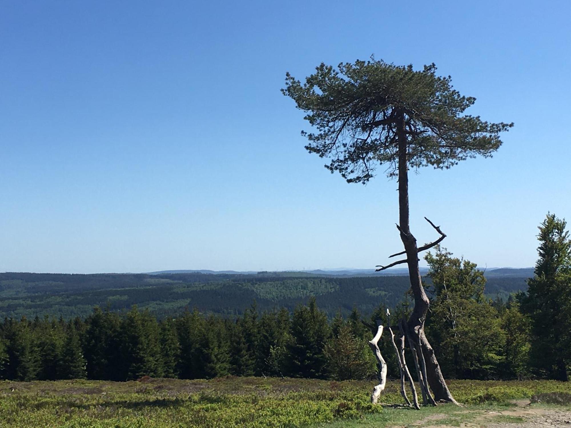 Berg- Und Seeblick Winterberg Eksteriør bilde